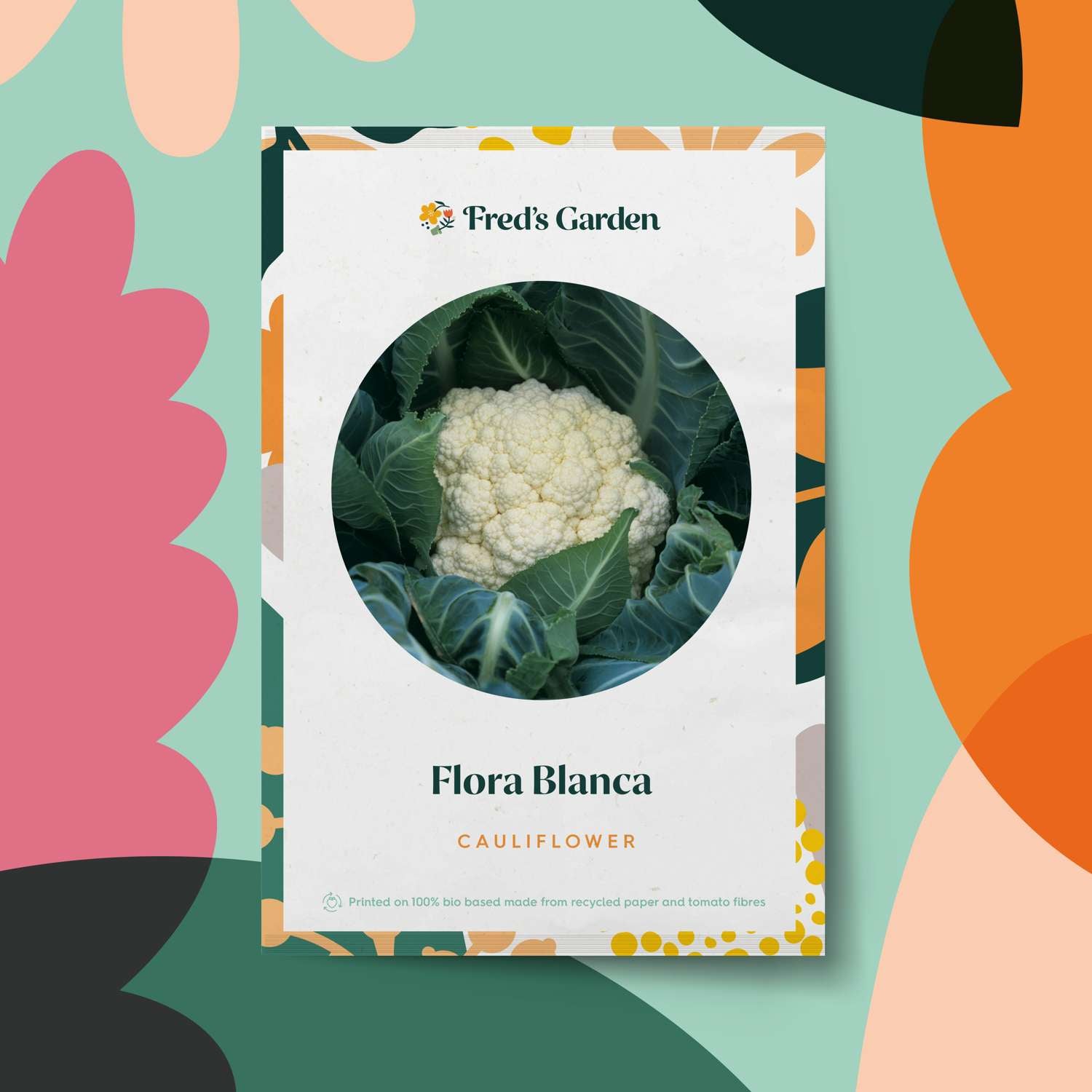 Kukkakaali 'Flora Blanca' (BIO siemen)